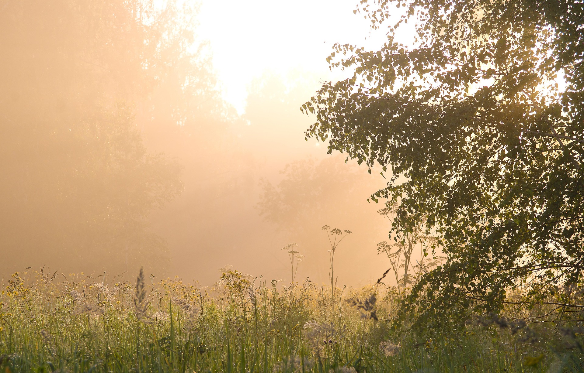 Naturvertrauen