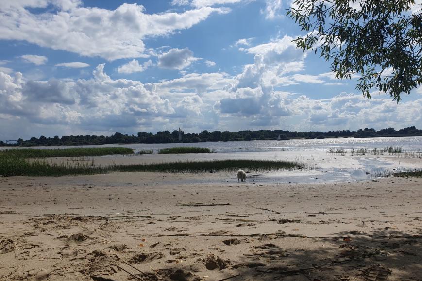 Langer Tag der Stadtnatur 2026 HH