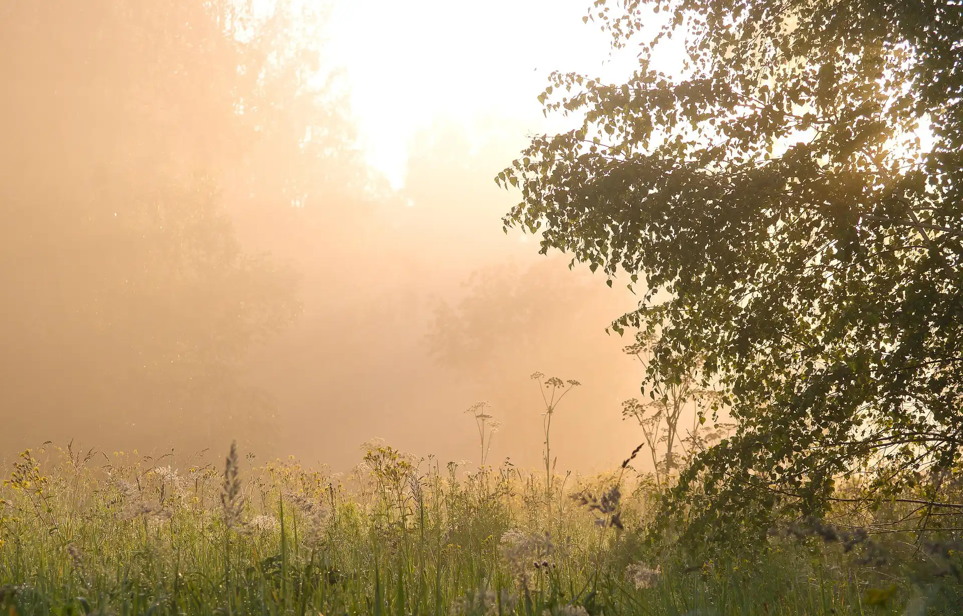 Naturvertrauen